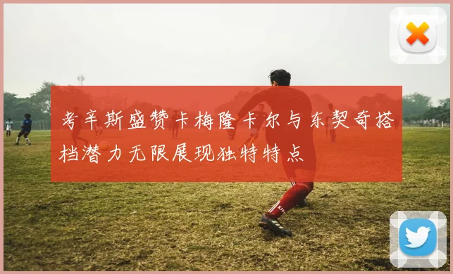 考辛斯盛赞卡梅隆卡尔与东契奇搭档潜力无限展现独特特点